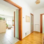 Casa Dedalus